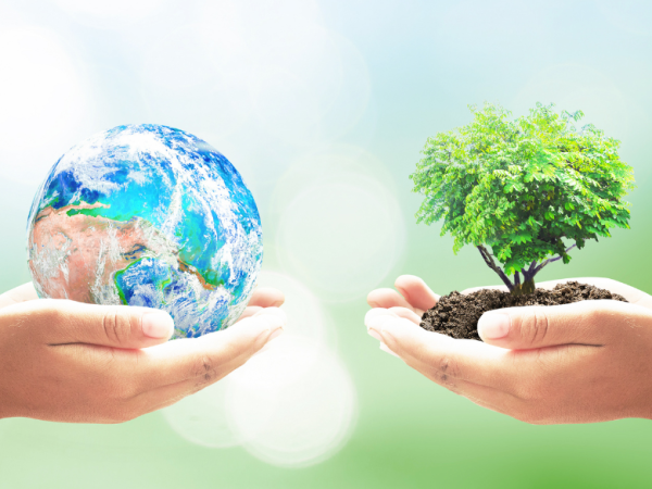 ENVIRO-FI: VISIONS OF THE NEAR FUTURE AND WHAT WE CAN LEARN FROM&nbsp;THEM